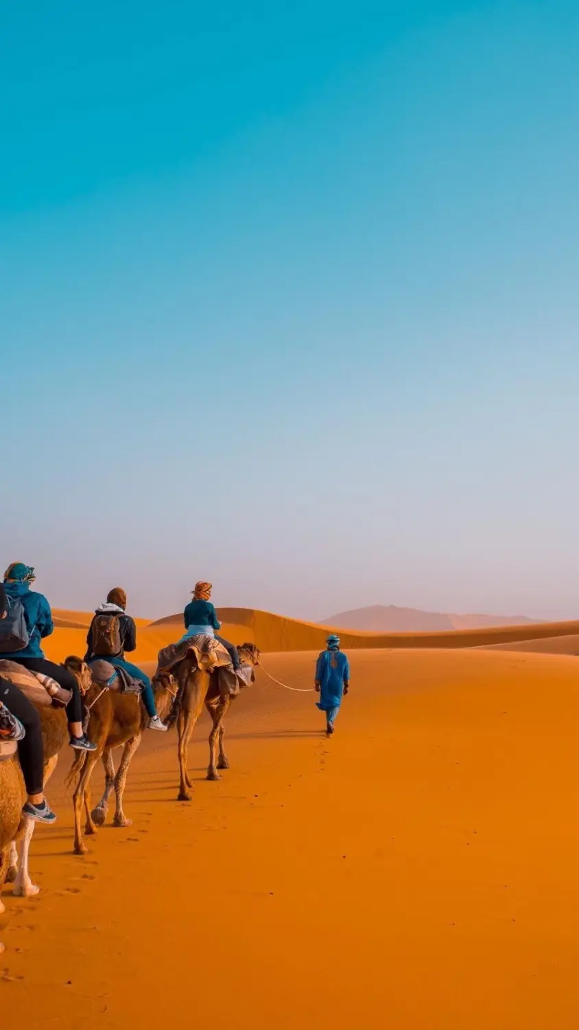 Touren nach Marokko, Sahara Wüste, Kamelsafari